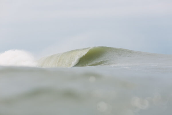  - Image 5 of 8