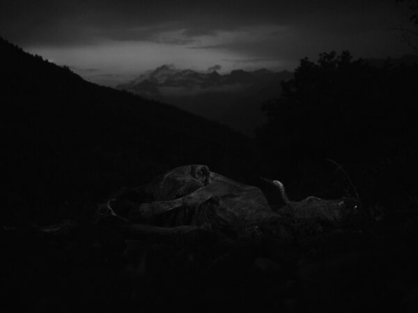  - Image 3 of 8