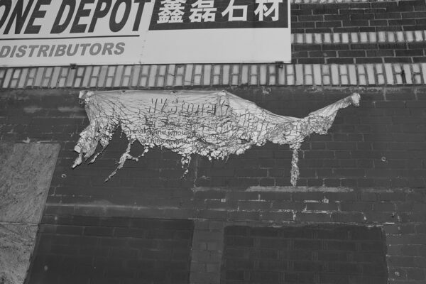  - Image 4 of 8