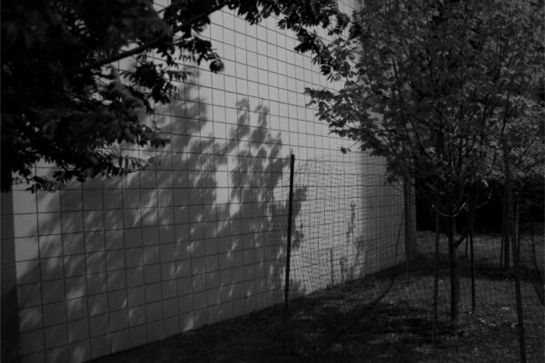  - Image 7 of 7