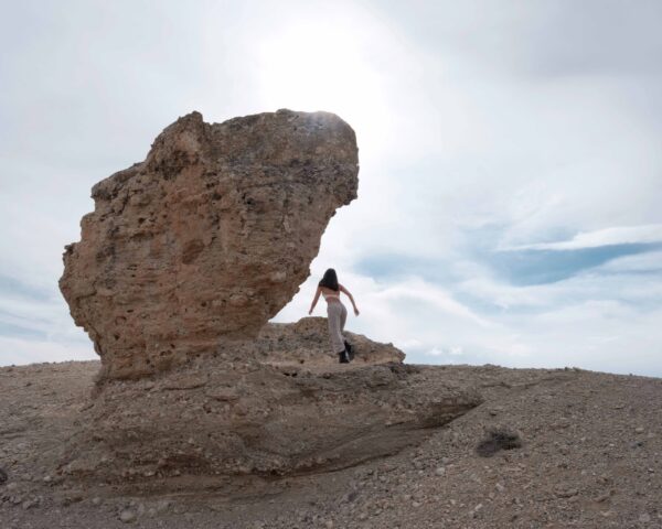  - Image 4 of 7