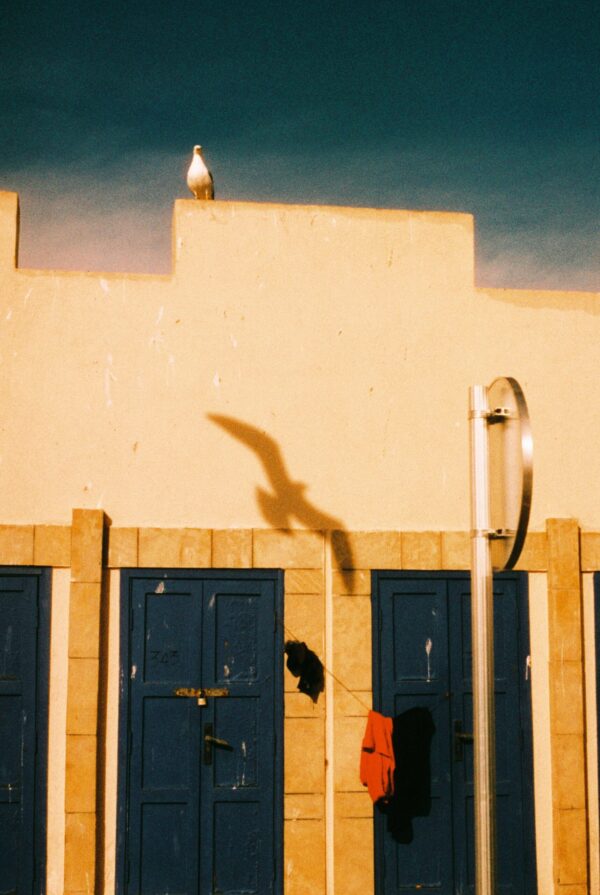  - Image 4 of 5