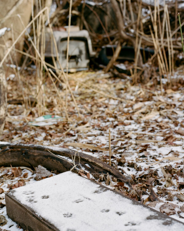  - Image 3 of 8