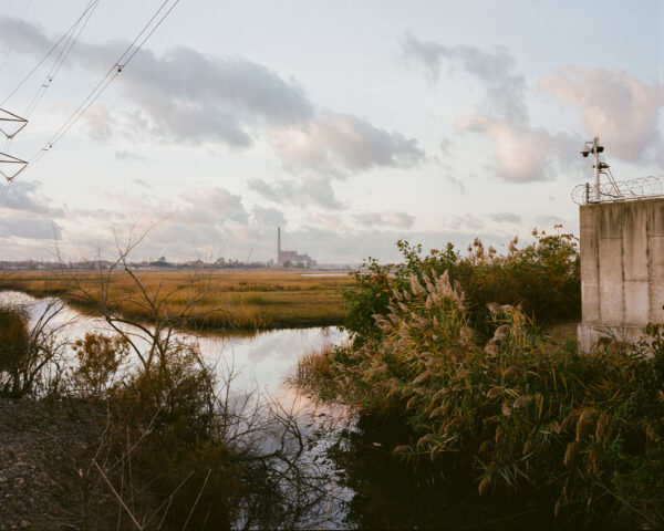  - Image 8 of 8