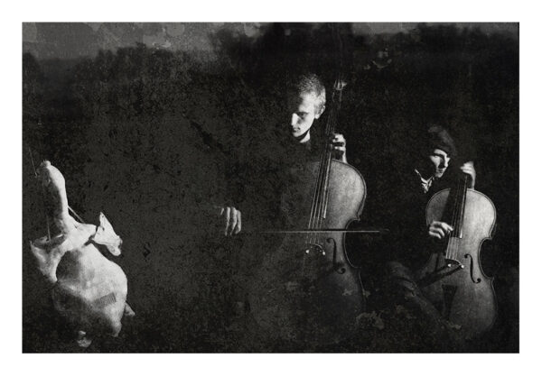  - Image 8 of 8